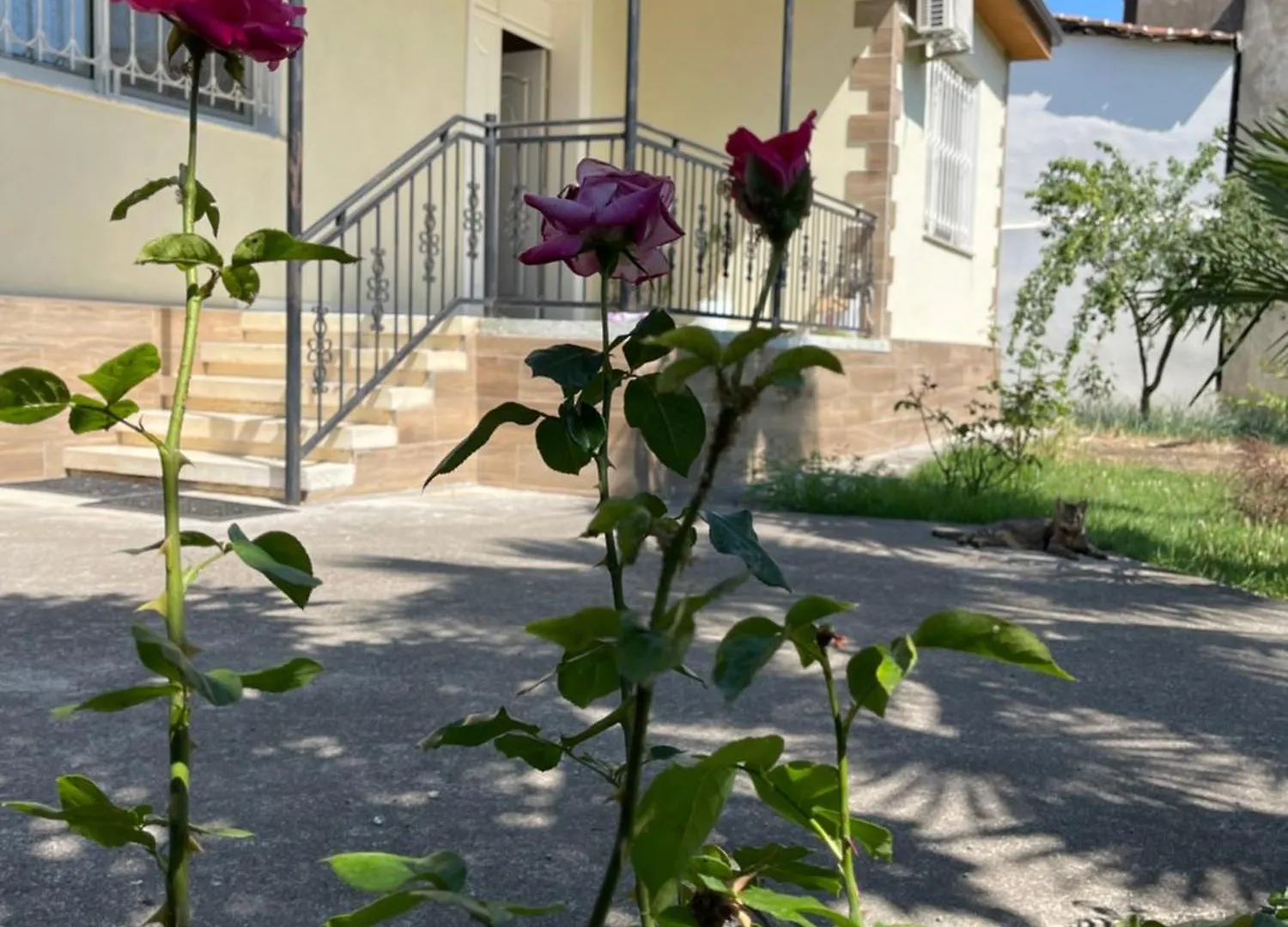 Shkodra Green Heart Holiday home